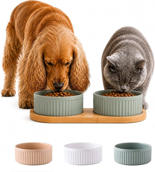 Ceramic Pet Bowl with Non-Slip Bamboo Base